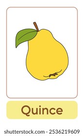 Letters Q is for Quince. Fruit Flashcard printable learn letters Alphabet english for kids education and game activity. Kindergarten and preschool worksheets printable for kids.