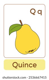 A letra Q é para Quince. Fruta Flashcard impresso aprender letras alfabeto inglês para a educação infantil e atividade de jogo. Planilhas de jardim de infância e pré-escola imprimíveis para crianças.