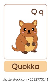 Letters Q is for Quokka. Animal Flashcard printable learn letters Alphabet abc english for kids education and game activity. Kindergarten and preschool worksheets printable for kids.