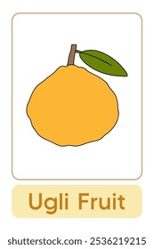 Letters U is for Ugli Fruit. Fruit Flashcard printable learn letters Alphabet english for kids education and game activity. Kindergarten and preschool worksheets printable for kids.