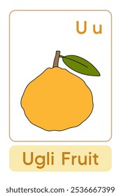 Letters U is for Ugli Fruit. Fruit Flashcard printable learn letters Alphabet english for kids education and game activity. Kindergarten and preschool worksheets printable for kids.