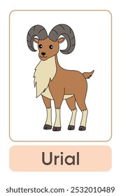 A letra U é para Urial. Animal Flashcard printable aprender letras Alfabeto abc Inglês para crianças educação e atividade de jogo. Planilhas de jardim de infância e pré-escola imprimíveis para crianças.