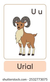 Letters U is for Urial. Animal Flashcard printable learn letters Alphabet abc english for kids education and game activity. Kindergarten and preschool worksheets printable for kids.