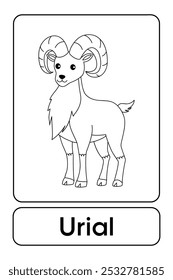 Letters U is for Urial. Urial coloring pages. Animal Flashcard printable learn letters Alphabet for kids education and game activity. Kindergarten and preschool worksheets printable for kids.