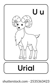 A letra U é para Urial. Páginas de coloração urinária. Animal Flashcard printable aprender letras Alfabeto para a educação das crianças e atividade de jogo. Planilhas de jardim de infância e pré-escola imprimíveis para crianças.