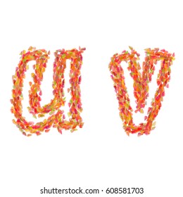 The letters U, V made of autumn leaves.