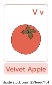 Letters V is for Velvet Apple. Fruit and Vegetable Flashcard printable learn letters Alphabet english for kids education and game activity. Kindergarten and preschool worksheets printable for kids.