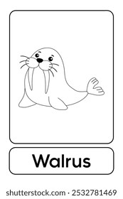 Letters W is for Walrus. Walrus coloring pages. Animal Flashcard printable learn letters Alphabet for kids education and game activity. Kindergarten and preschool worksheets printable for kids.