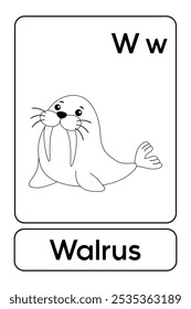 Letters W is for Walrus. Walrus coloring pages. Animal Flashcard printable learn letters Alphabet for kids education and game activity. Kindergarten and preschool worksheets printable for kids.