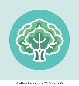 lettuce 2D flat vector illustration icon, isolated on a white background.