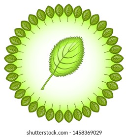 Lettuce aspen leaves in the form of a round frame. The illustration on the theme - golden autumn has come. Falling leaves. Decor, design, art, drawing, vector