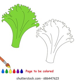 Lettuce to be colored, the coloring book for preschool kids with easy educational gaming level.