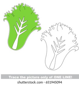 Lettuce to be traced only of one line, the tracing educational game to preschool kids with easy game level, the colorful and colorless version.