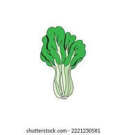 Lechuga, ilustración vectorial de Bok choy sobre fondo blanco. Adecuado para el diseño de contenido de alimentos, frutas y verduras