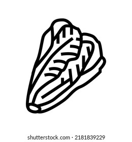 vector de icono de la línea de col de lechuga. señal de col de lechuga. símbolo de contorno aislado ilustración negra