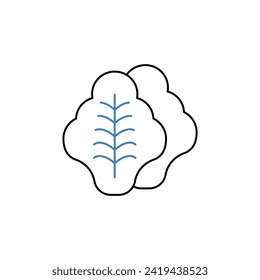 icono de línea de concepto de lechuga. Ilustración de elemento simple. diseño de símbolos de esquema de concepto de lechuga.