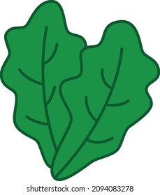 Lettuce Filled Outline Icon Vegetable Vector