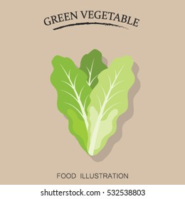 Lettuce flat icon isolated. Healthy food vector illustration