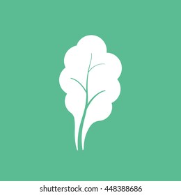 Lettuce Flat Icon On Green Background
