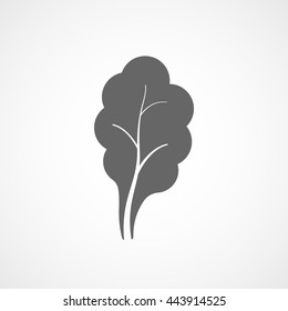 Lettuce Flat Icon On White Background