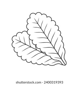 Lettuce Flat line Icon On White Background Vector sign