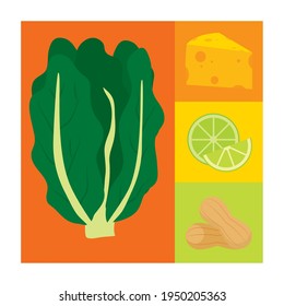 lettuce and food icon set