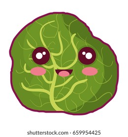 lettuce fresh vegetable kawaii character