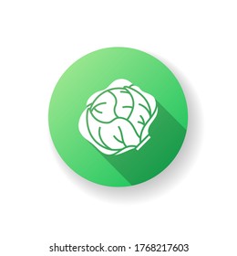 Lettuce green flat design long shadow glyph icon. Fresh vegetable. Appetizer from menu. Whole veggie for cooking recipe. Natural product. Vegan salad ingredient. Silhouette RGB color illustration