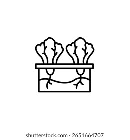 Lettuce Growing In A Box In A Minimalist And Modern Style Design