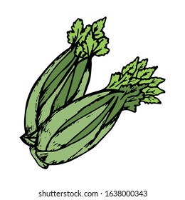 Lettuce hand drawn illustration vector sign and symbol