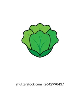 a lettuce head in layered clean green leaf vector