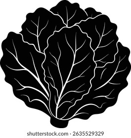 Lettuce head silhouette vector illustration design