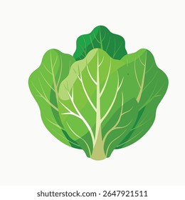 The lettuce is the humble hero of the culinary world, a versatile ingredient prized for its deep, savory flavor and satisfyingly meaty texture. Its earthy character makes it an exceptional companion 