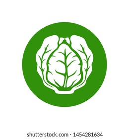 Lettuce icon button. Lettuce vector icon or symbol for web design