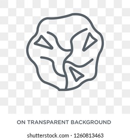Lettuce icon. Lettuce design concept from Fruit and vegetables collection. Simple element vector illustration on transparent background.