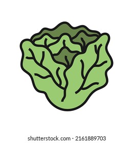 lettuce icon design template vector illustration