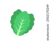 Lettuce icon with flat style. Simple lettuce vector 