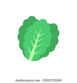 Lettuce icon with flat style. Simple lettuce vector 