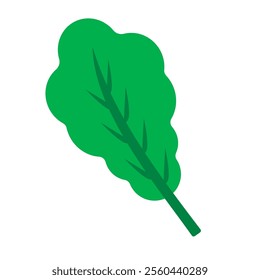 Lettuce icon with flat style. Simple lettuce vector