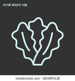 Lettuce icon line element. Vector illustration of lettuce icon line isolated on clean background for your web mobile app logo design.