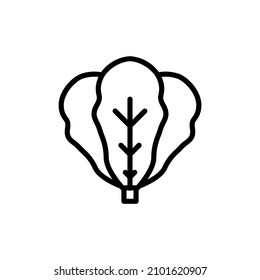 lettuce icon line style vector