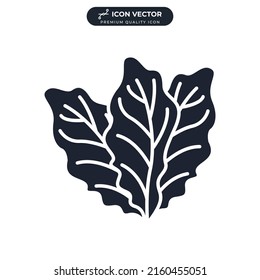 lettuce icon symbol template for graphic and web design collection logo vector illustration