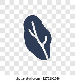 Lettuce icon. Trendy Lettuce logo concept on transparent background from Fruits and vegetables collection