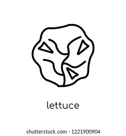 lettuce icon. Trendy modern flat linear vector lettuce icon on white background from thin line Fruit and vegetables collection, outline vector illustration