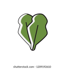 lettuce icon vector. filled outline style vegetable icon
