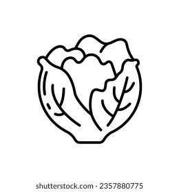 Lettuce icon in vector. Illustration
