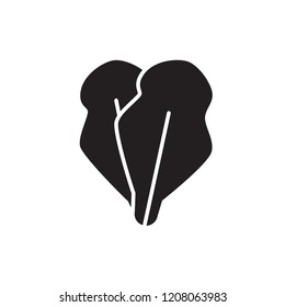 lettuce icon vector. vegetable icon glyph style