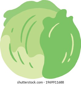 lettuce icon. vegetables. hand drawn.