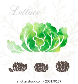 Lettuce Icons Set.