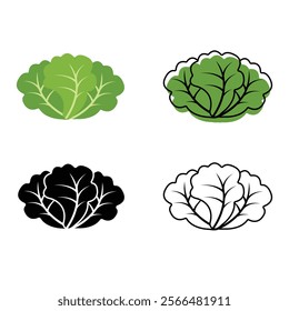 lettuce icons set for illustrations